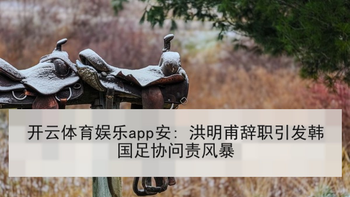 开云体育娱乐app安: 洪明甫辞职引发韩国足协问责风暴 开云体育娱乐app安: 洪明甫辞职引发韩国足协问责风暴