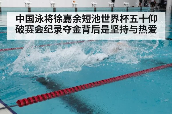 中国泳将徐嘉余短池世界杯五十仰破赛会纪录夺金背后是坚持与热爱